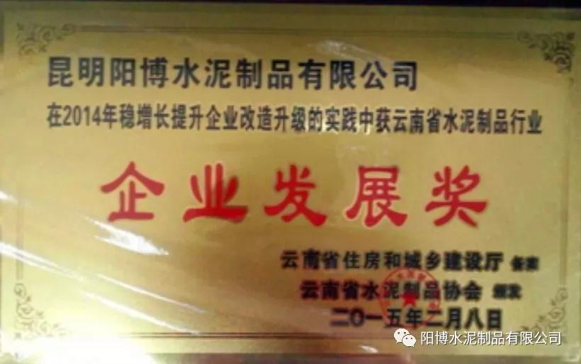 阳博水泥企业发展奖